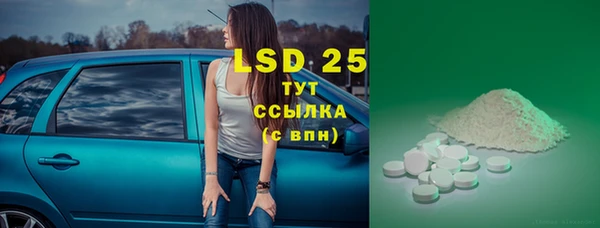твердый Богданович