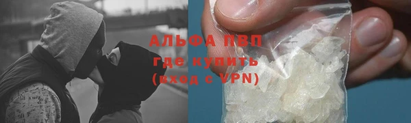твердый Богданович