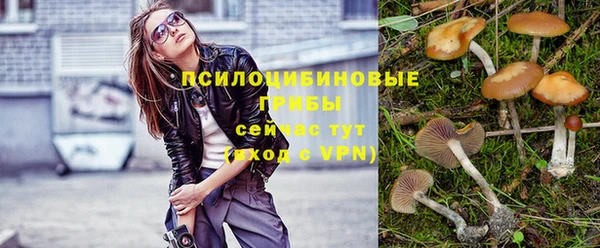 mix Богородск