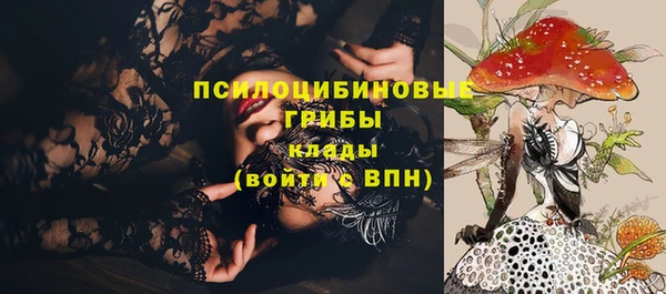 mix Богородск