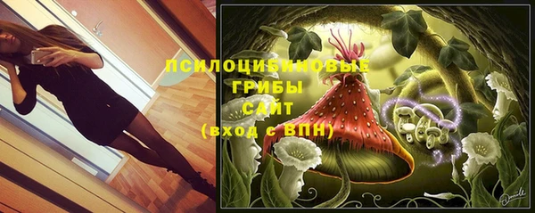 mix Богородск