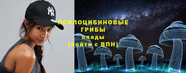 индика Горно-Алтайск