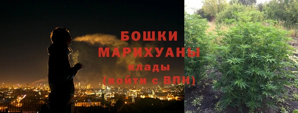 твердый Богданович